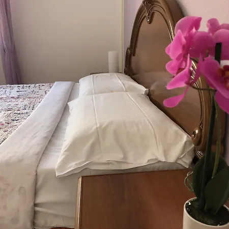 ベッド・アンド・ブレックファスト Venice Tour